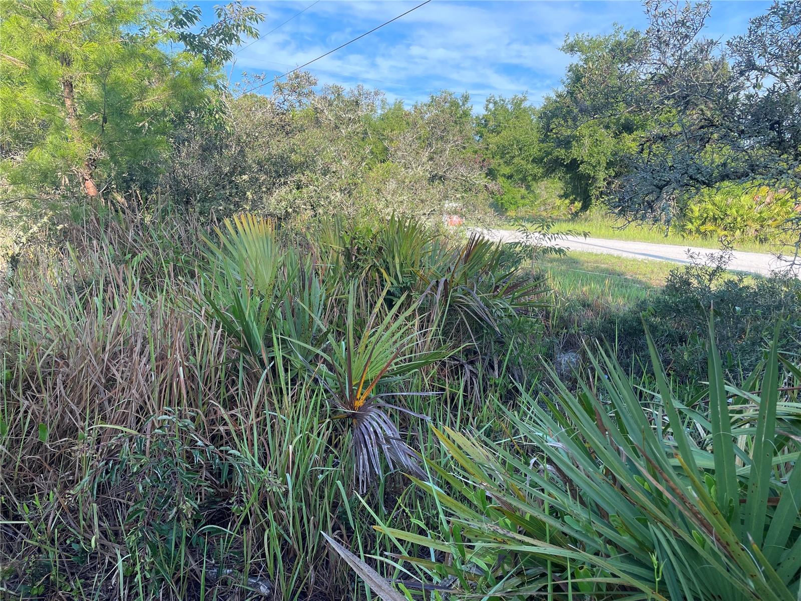 1873 W FOXGLOVE RD, AVON PARK, FL — photo 19
