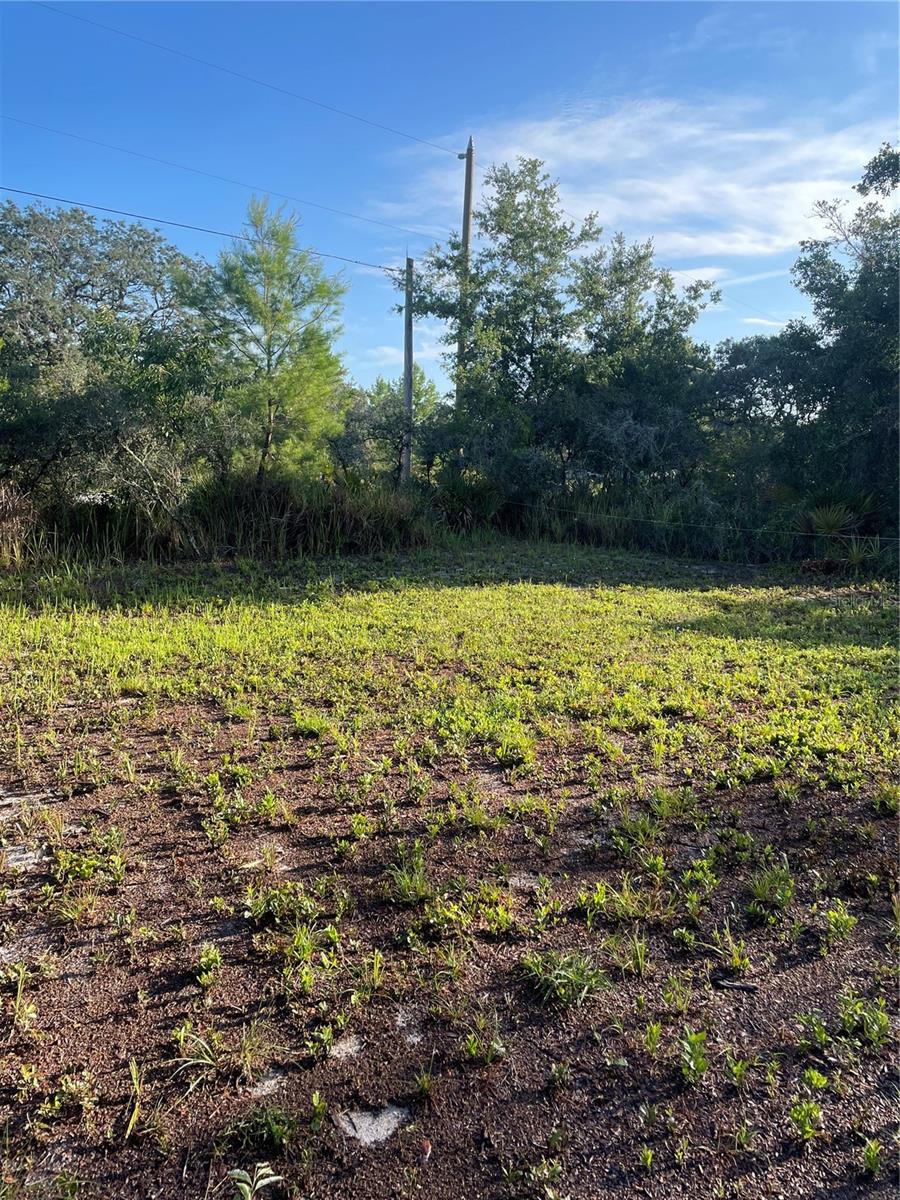 1873 W FOXGLOVE RD, AVON PARK, FL — photo 17