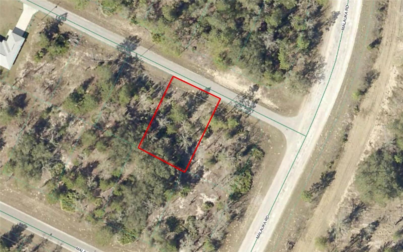 TBD MALAUKA DR, OCKLAWAHA, FL — photo 2