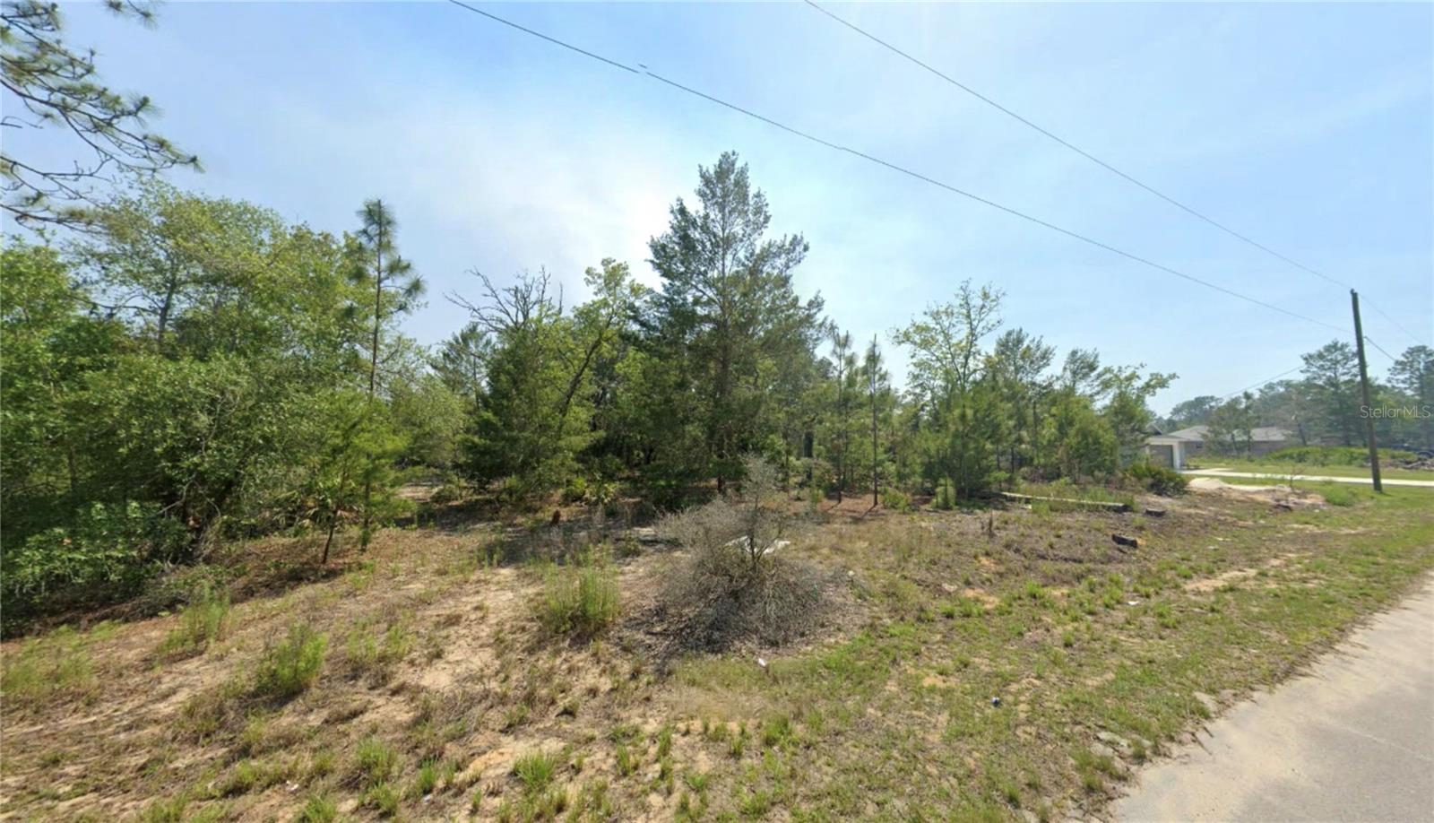 TBD MALAUKA DR, OCKLAWAHA, FL — photo 3