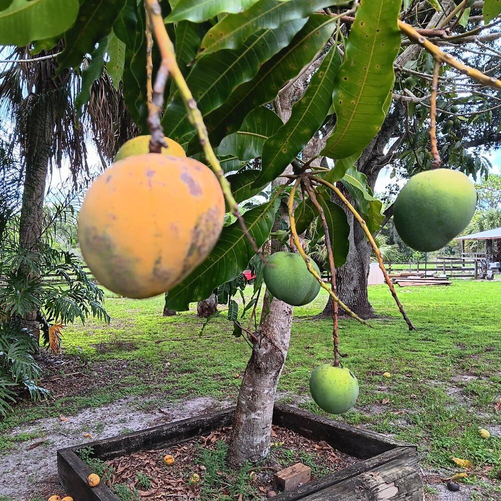 710 & 740 EVANS RD, LABELLE, FL — photo 58