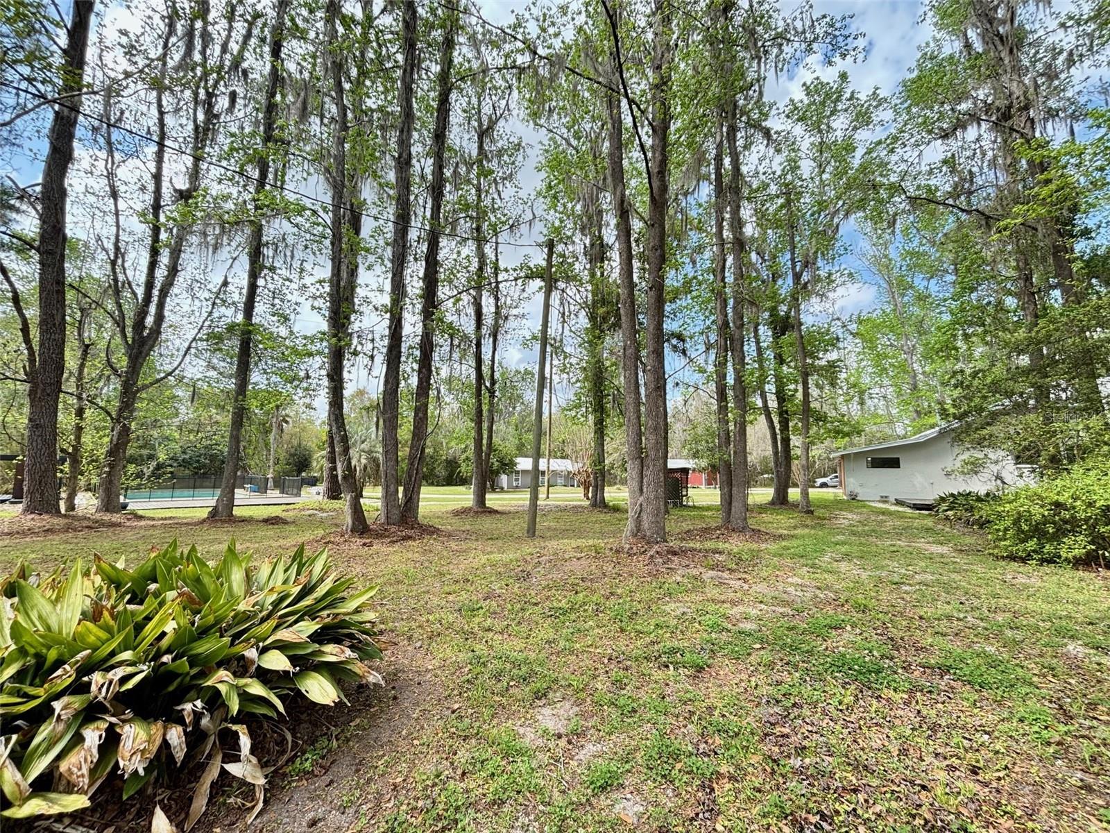 18917 NW COUNTY ROAD 239, ALACHUA, FL — photo 5