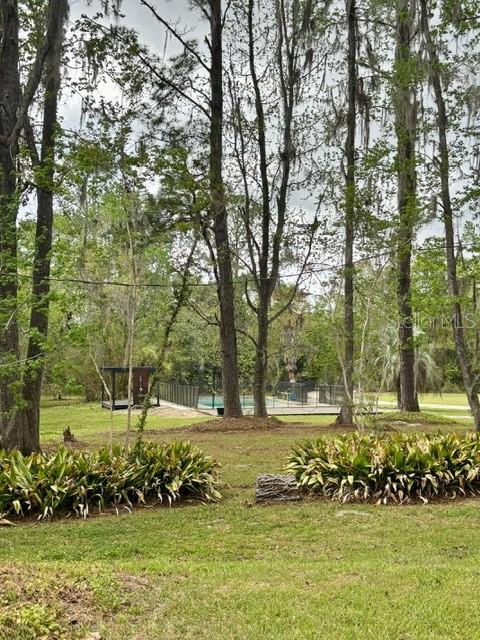 18917 NW COUNTY ROAD 239, ALACHUA, FL — photo 50