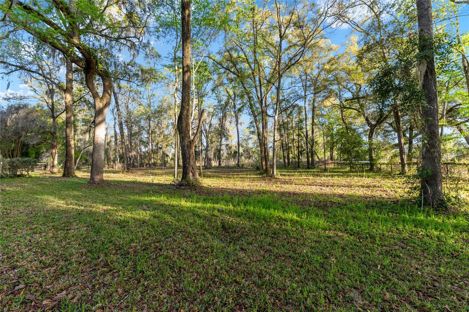 14312 NW 41ST AVE, NEWBERRY, FL — photo 72