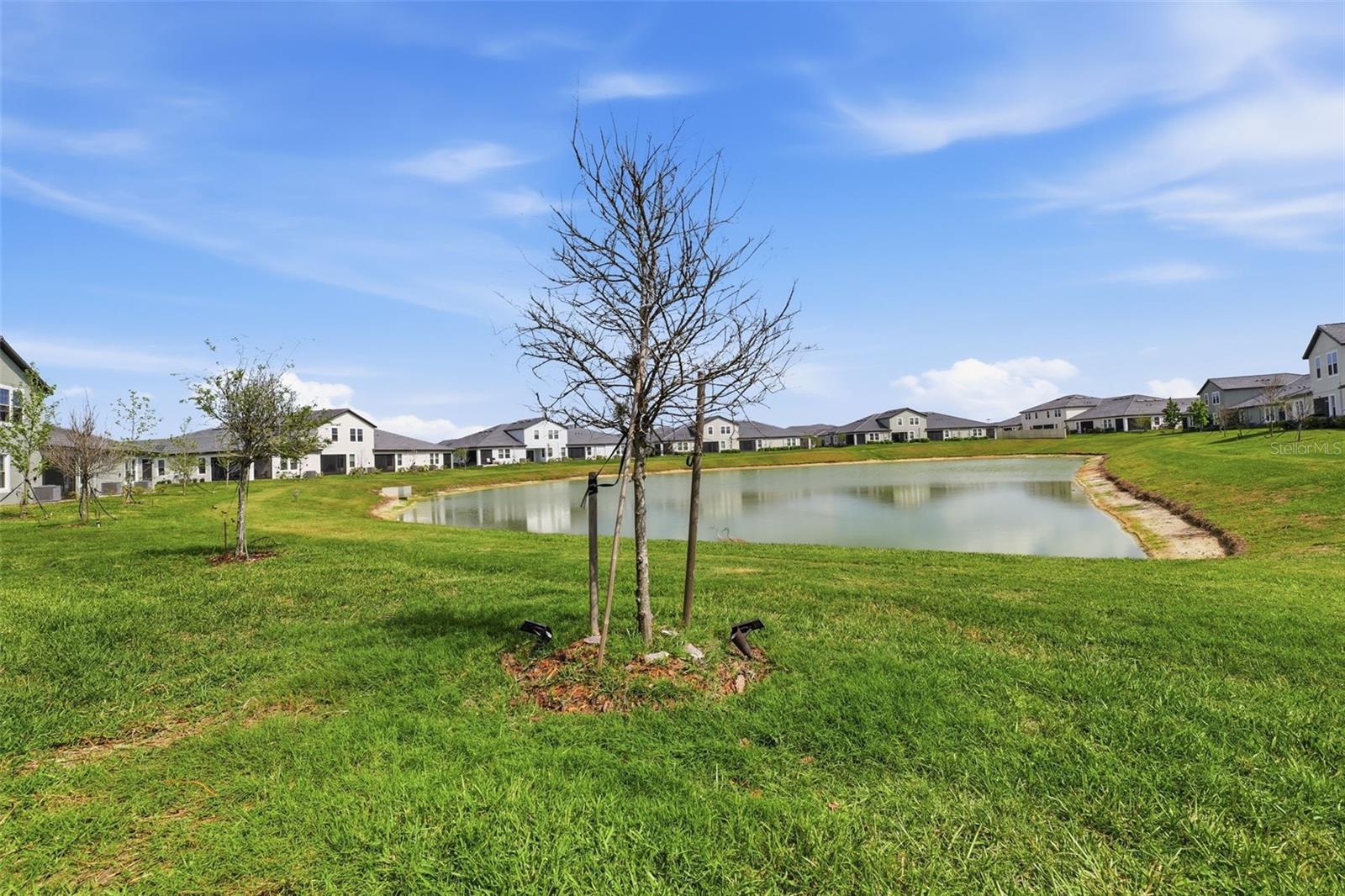 10799 GABLE DIG LOOP, SAN ANTONIO, FL — photo 18