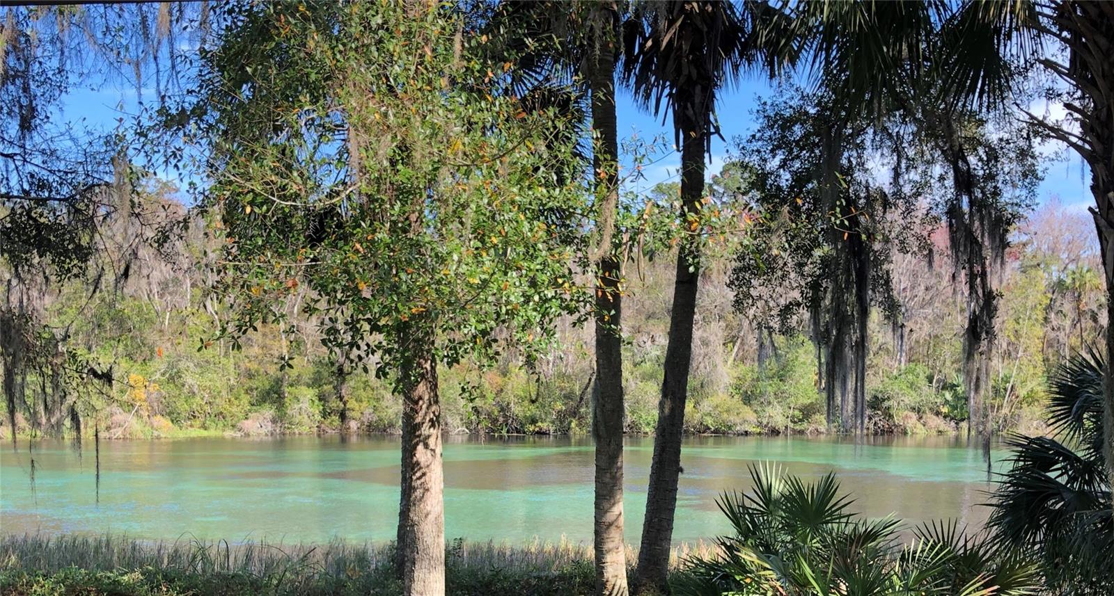 24576 NW FALCON AVE, DUNNELLON, FL — photo 3