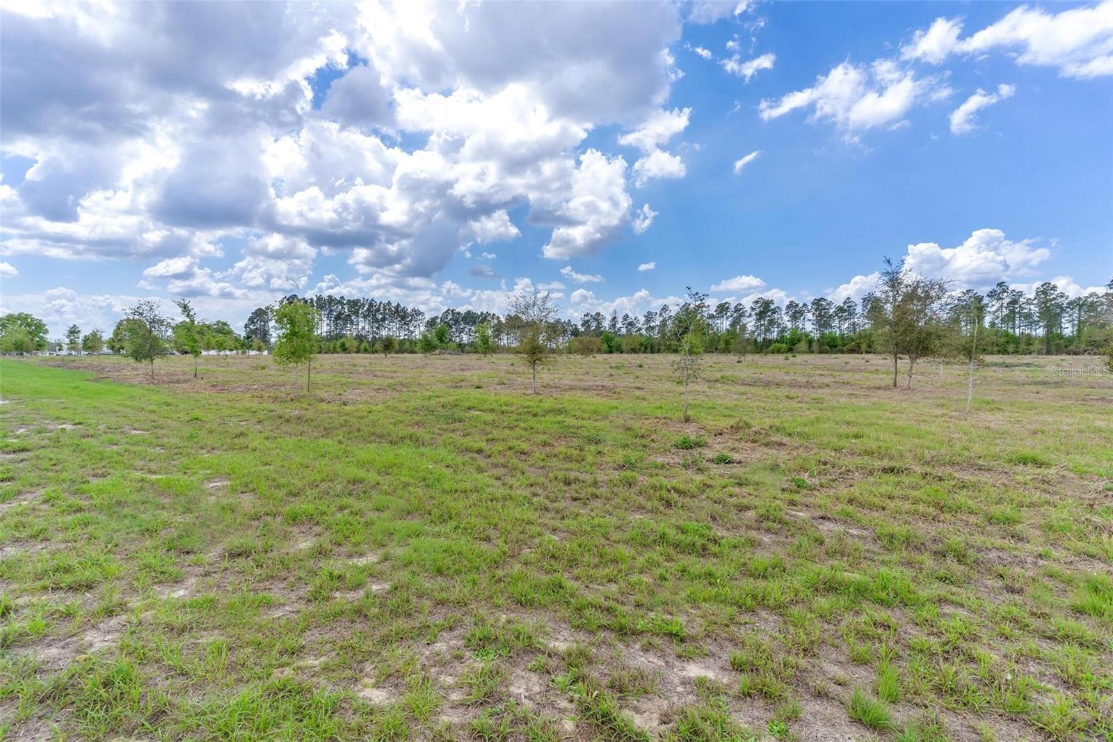 SE 170TH AVE, WEIRSDALE, FL