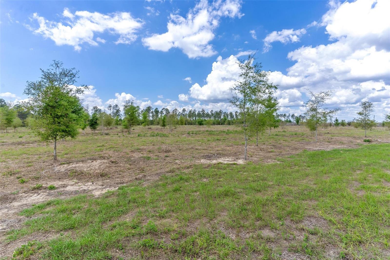 SE 170TH AVE, WEIRSDALE, FL — photo 2
