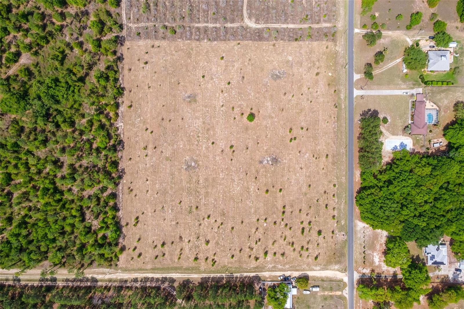 SE 170TH AVE, WEIRSDALE, FL — photo 6