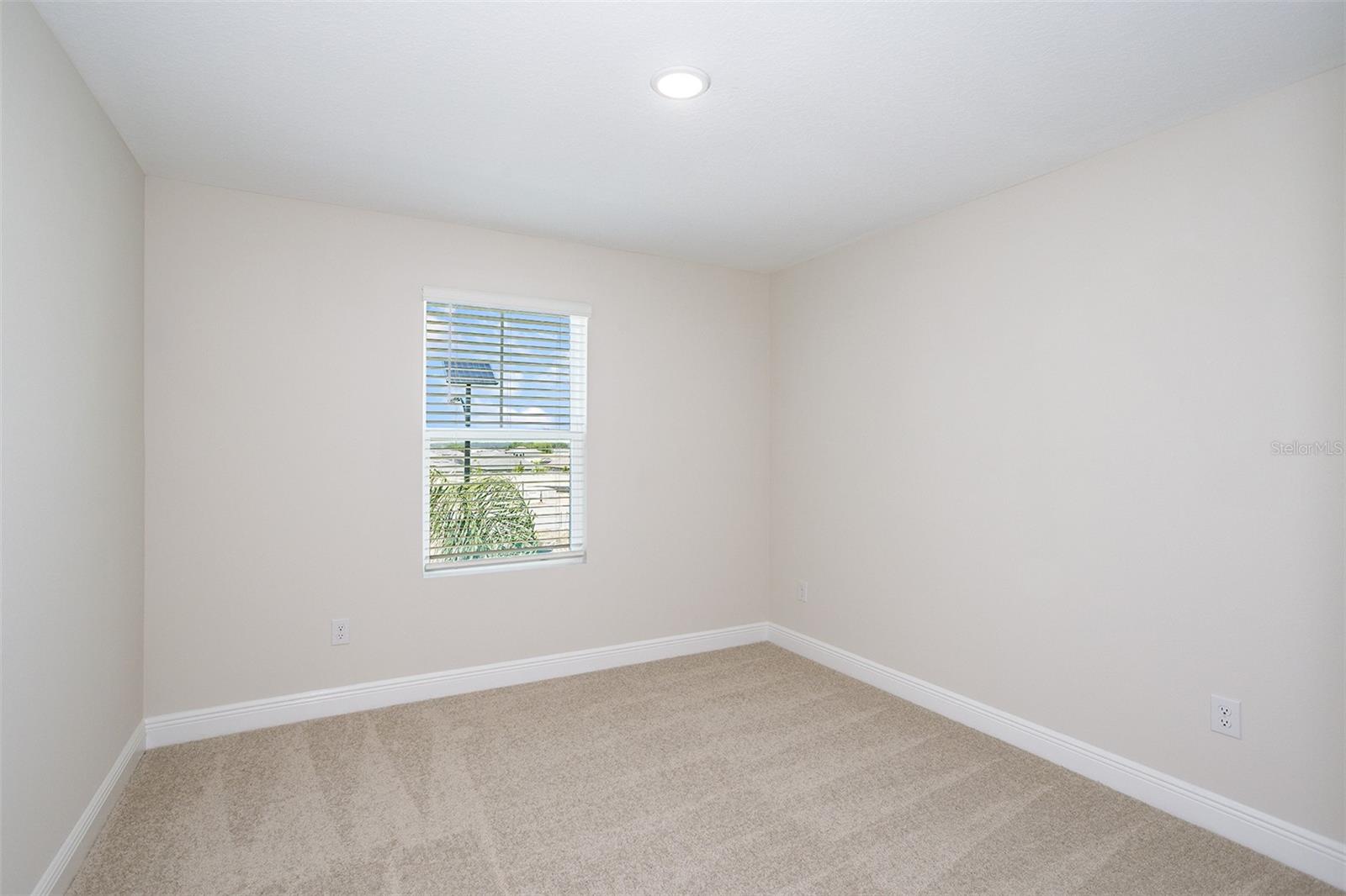 9936 ANNUNCIATION DR, WESLEY CHAPEL, FL — photo 15