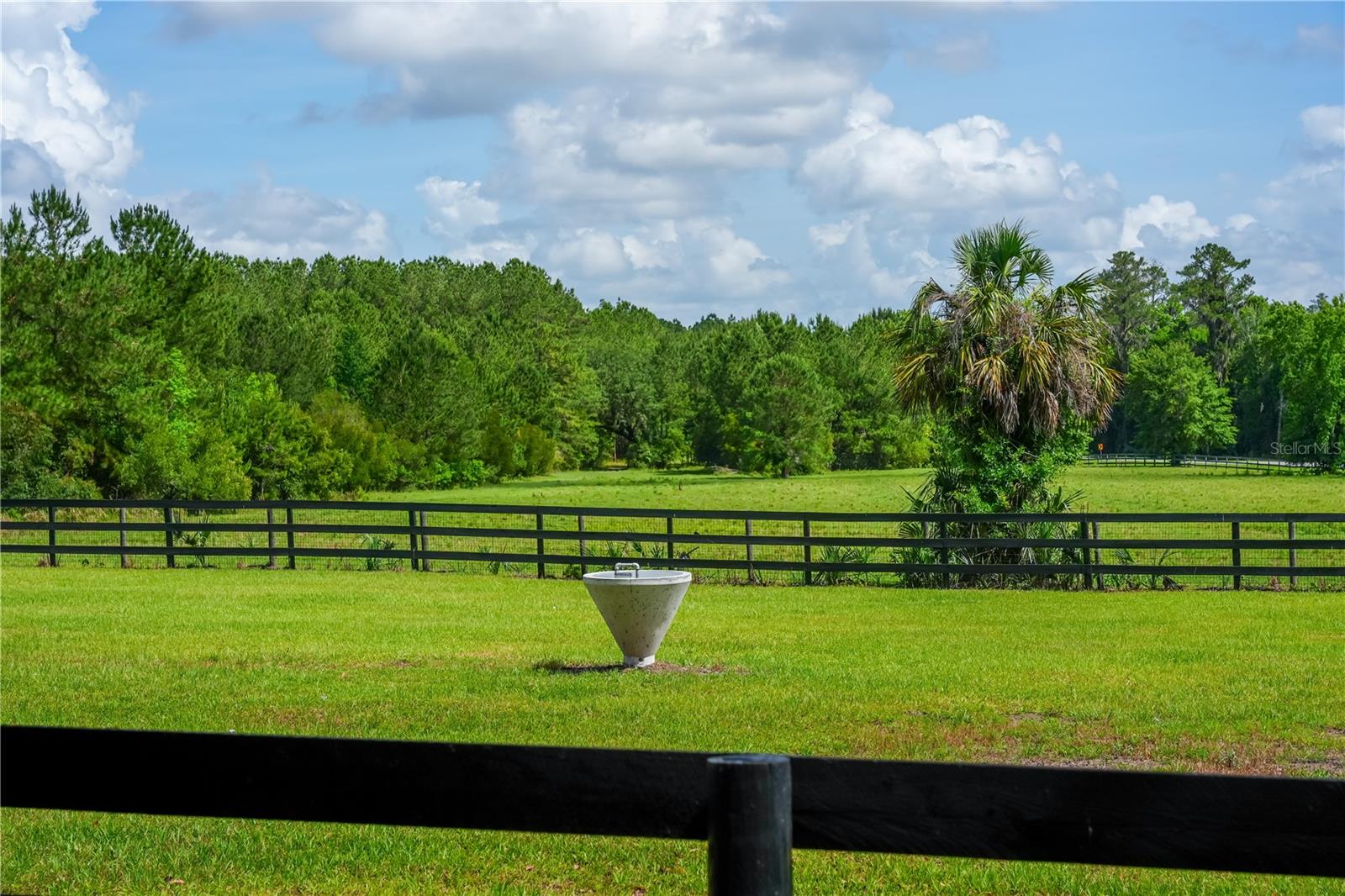 6450 NW HIGHWAY 225, OCALA, FL — photo 20