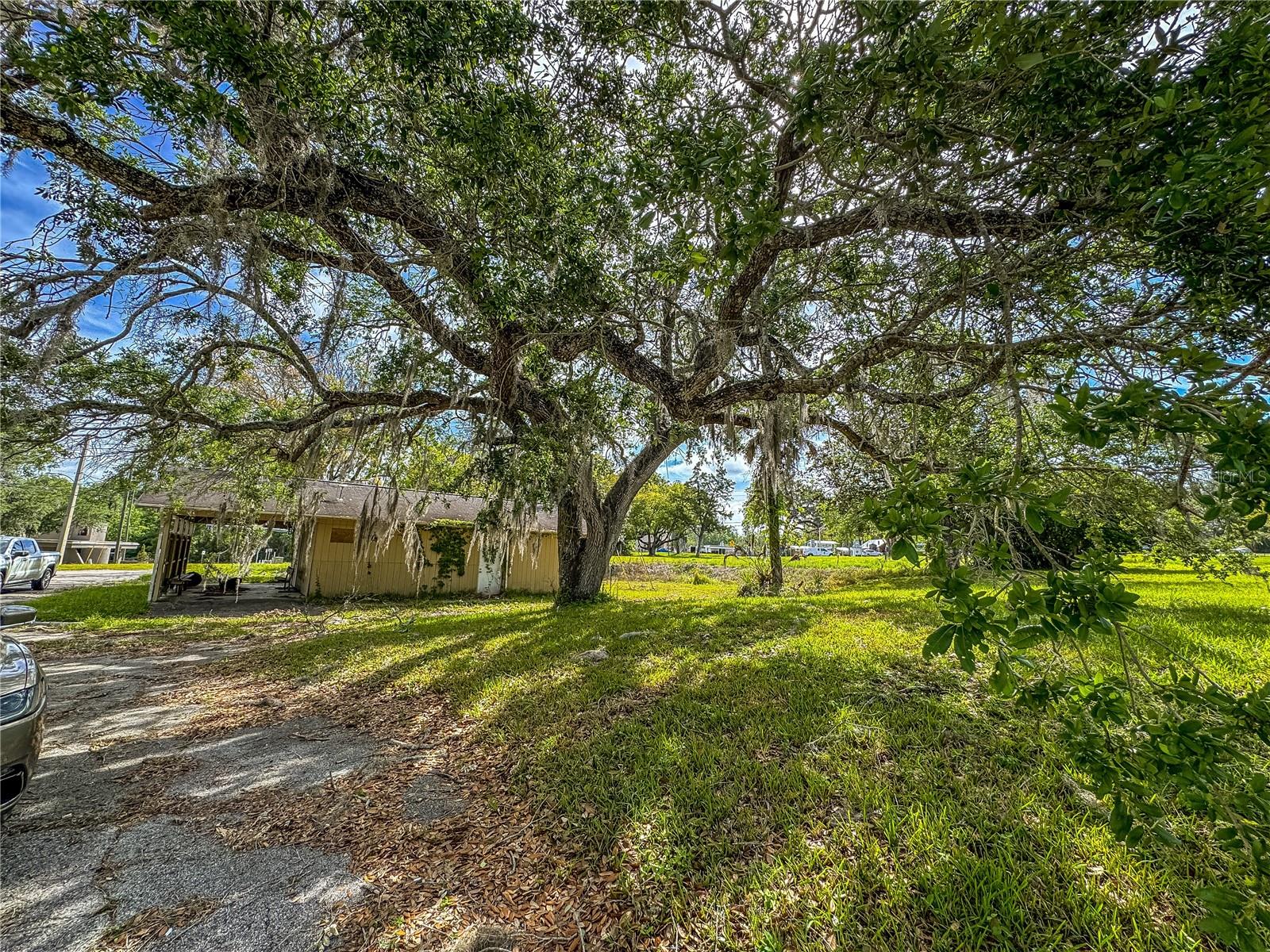 615 OLD HOSPITAL DR, BROOKSVILLE, FL — photo 19