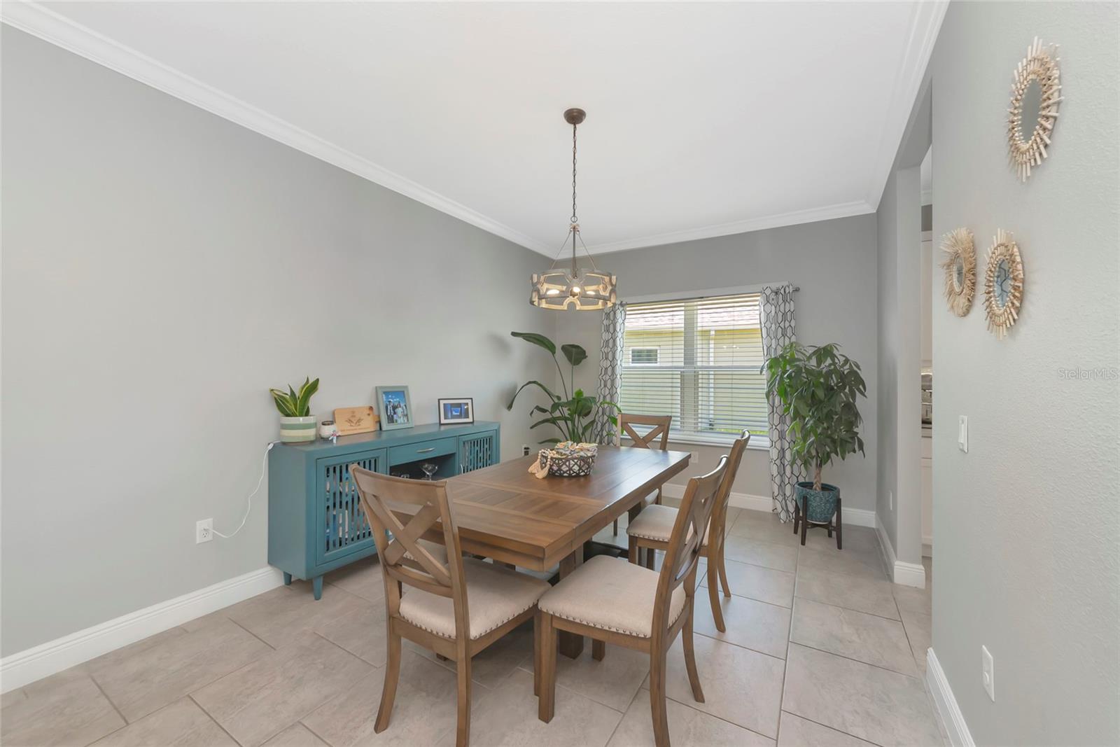 4213 PINE MEADOW DR, PARRISH, FL — photo 6