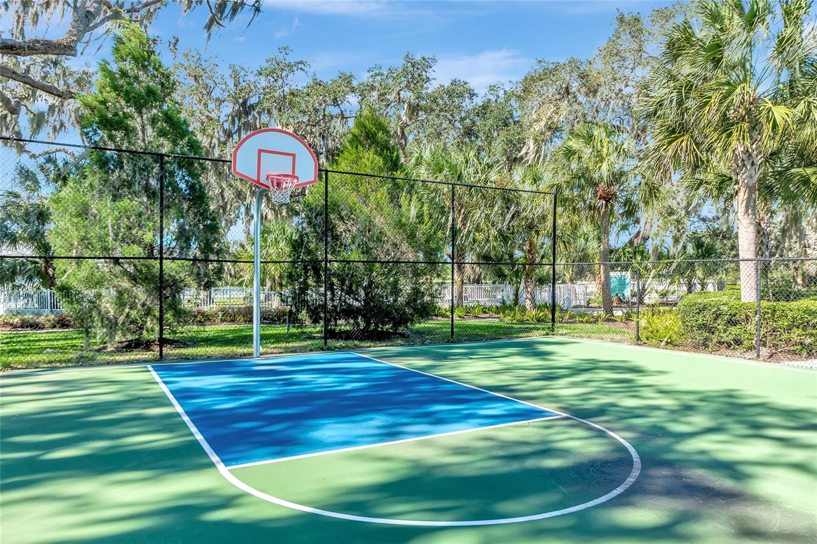 4213 PINE MEADOW DR, PARRISH, FL — photo 52