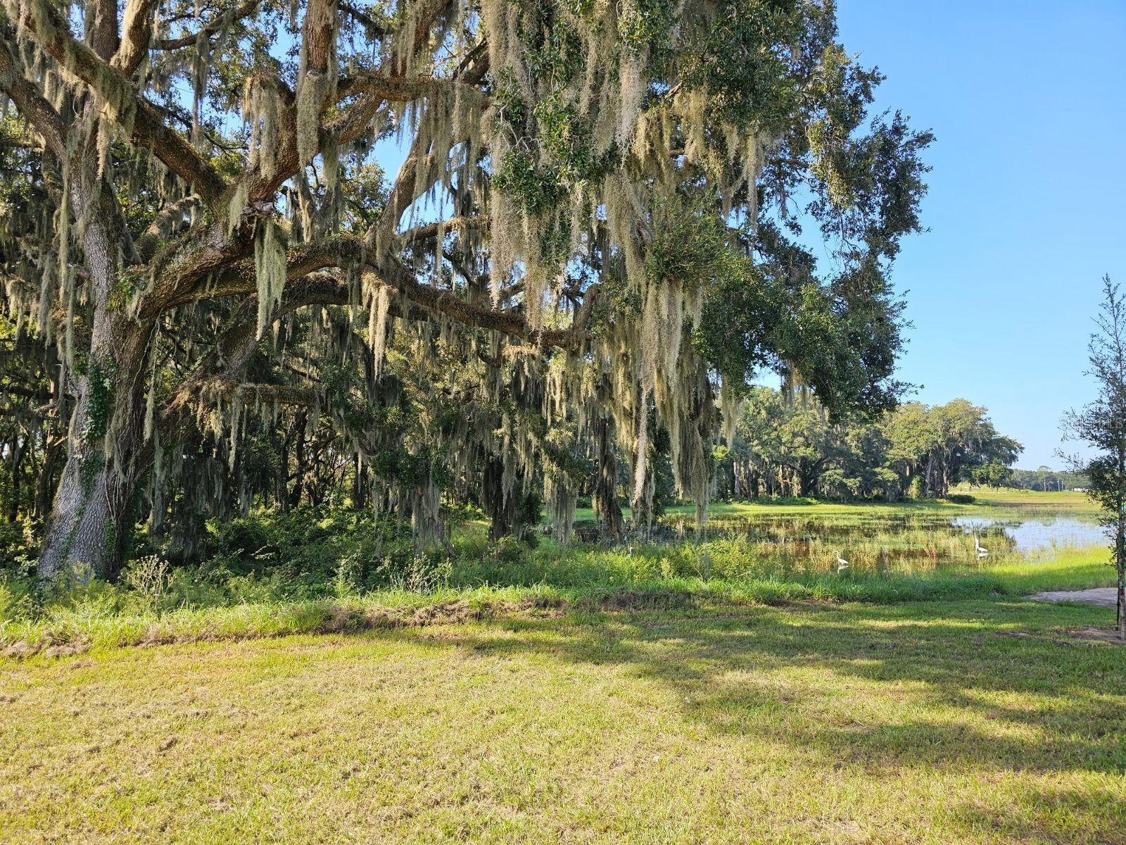 8665 BARRAGAN DR, WILDWOOD, FL — photo 21