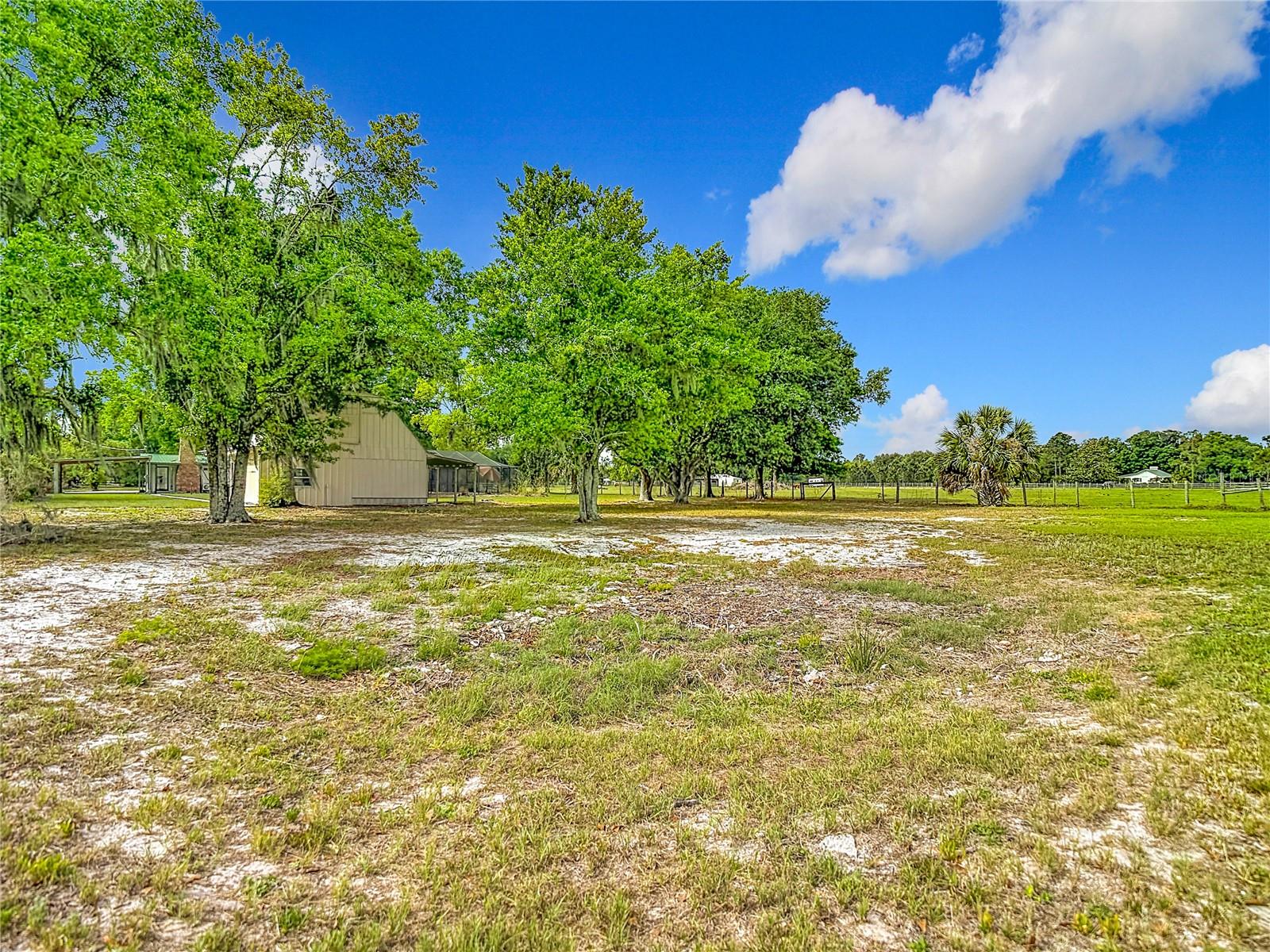 216 CORBETT RD, LITHIA, FL — photo 91