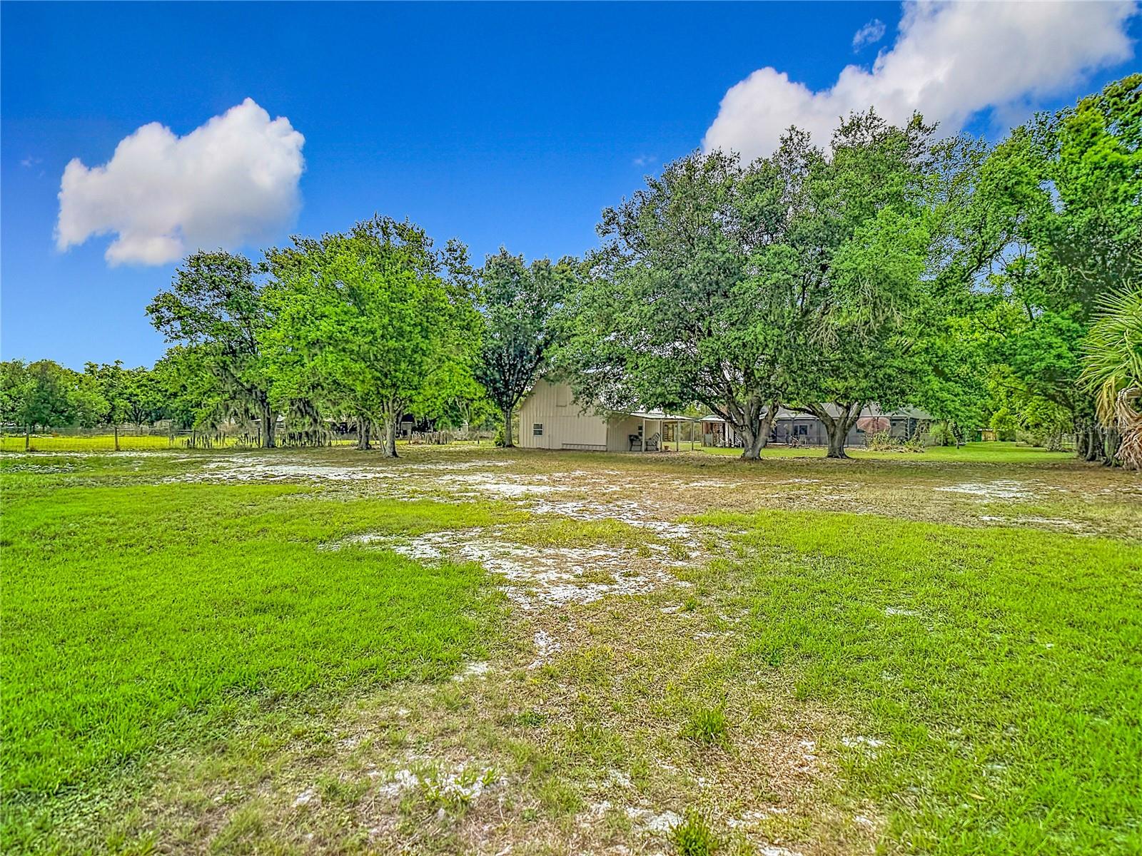 216 CORBETT RD, LITHIA, FL — photo 92