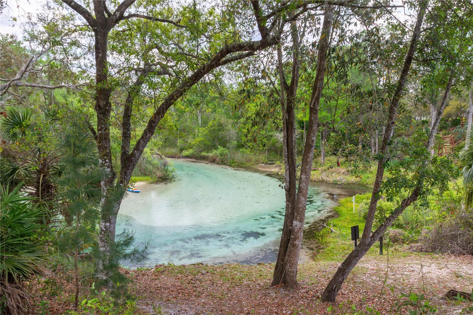 6151 NEW OSPREY PT, WEEKI WACHEE, FL — photo 6