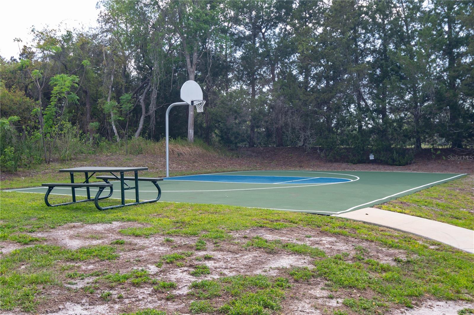 6151 NEW OSPREY PT, WEEKI WACHEE, FL — photo 59