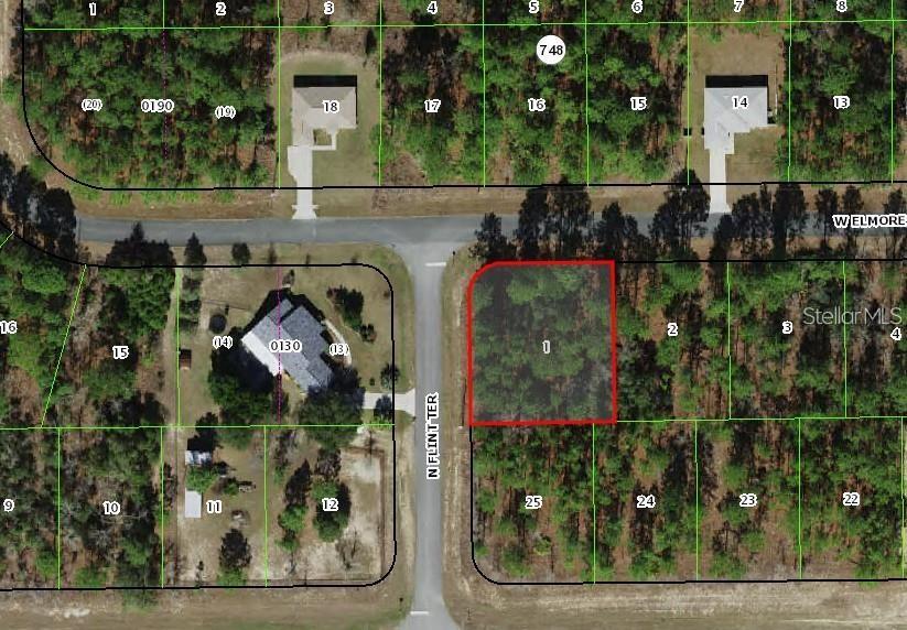 2372 W ELMORE LOOP, CITRUS SPRINGS, FL