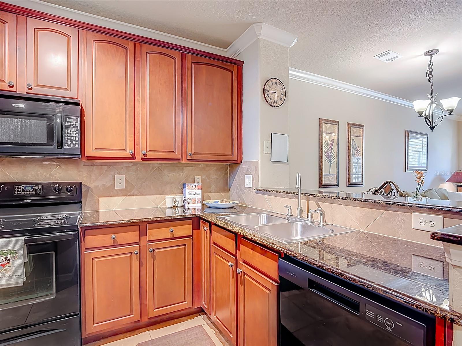 910 CHARO PKWY #311, DAVENPORT, FL — photo 8