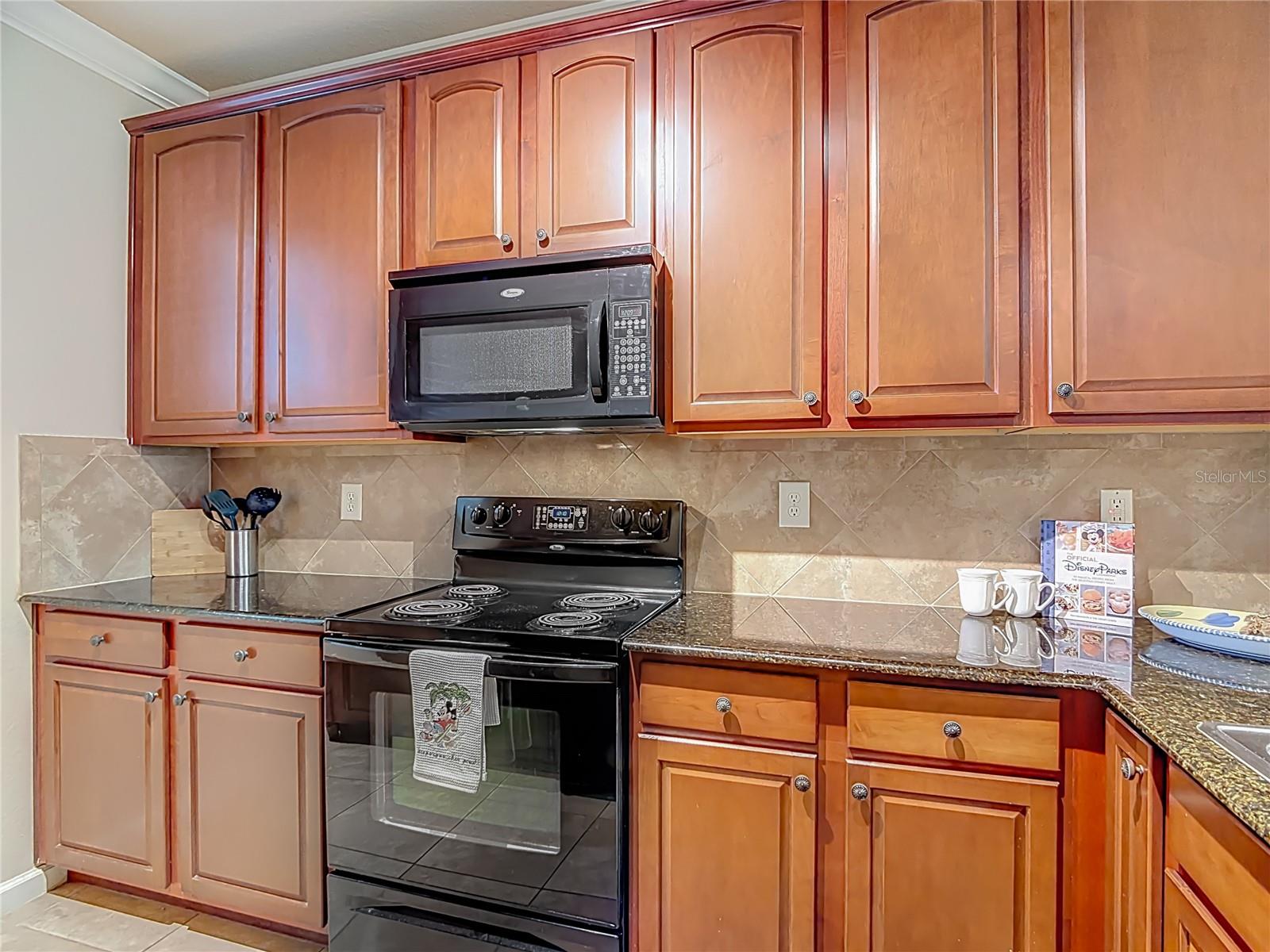 910 CHARO PKWY #311, DAVENPORT, FL — photo 9