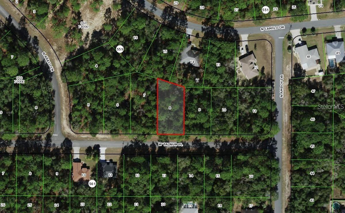 3231 W TALINUM PL, CITRUS SPRINGS, FL