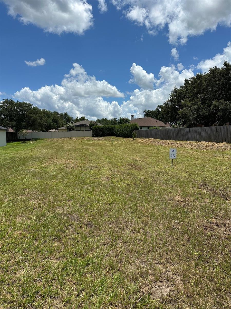 16000 MATANILLA DR, CLERMONT, FL — photo 3
