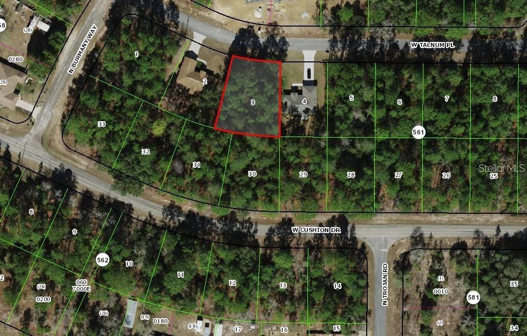 3386 W TALINUM PL, CITRUS SPRINGS, FL