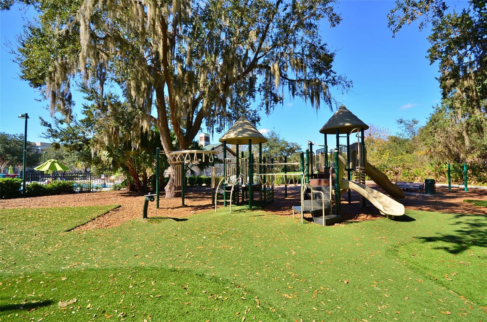 1110 RUSH CT, CELEBRATION, FL — photo 59