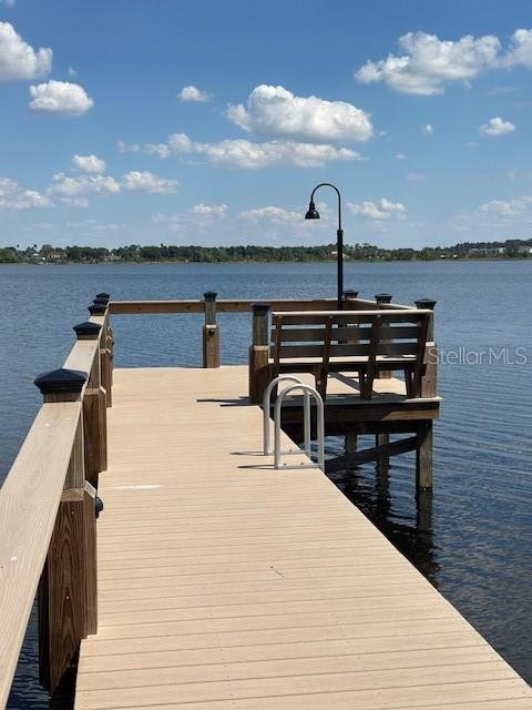 3001 ISOLA BELLA BLVD, MOUNT DORA, FL — photo 131