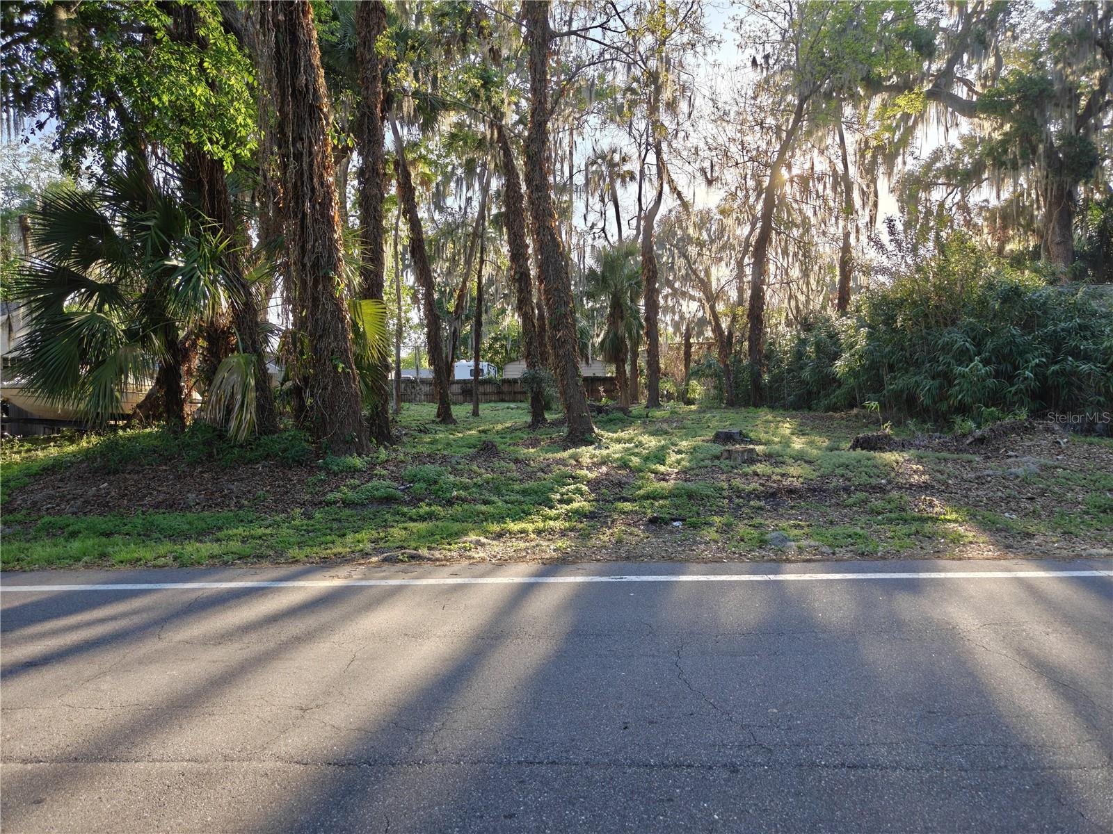 2214 NEEDLE PALM DR, EDGEWATER, FL — photo 9