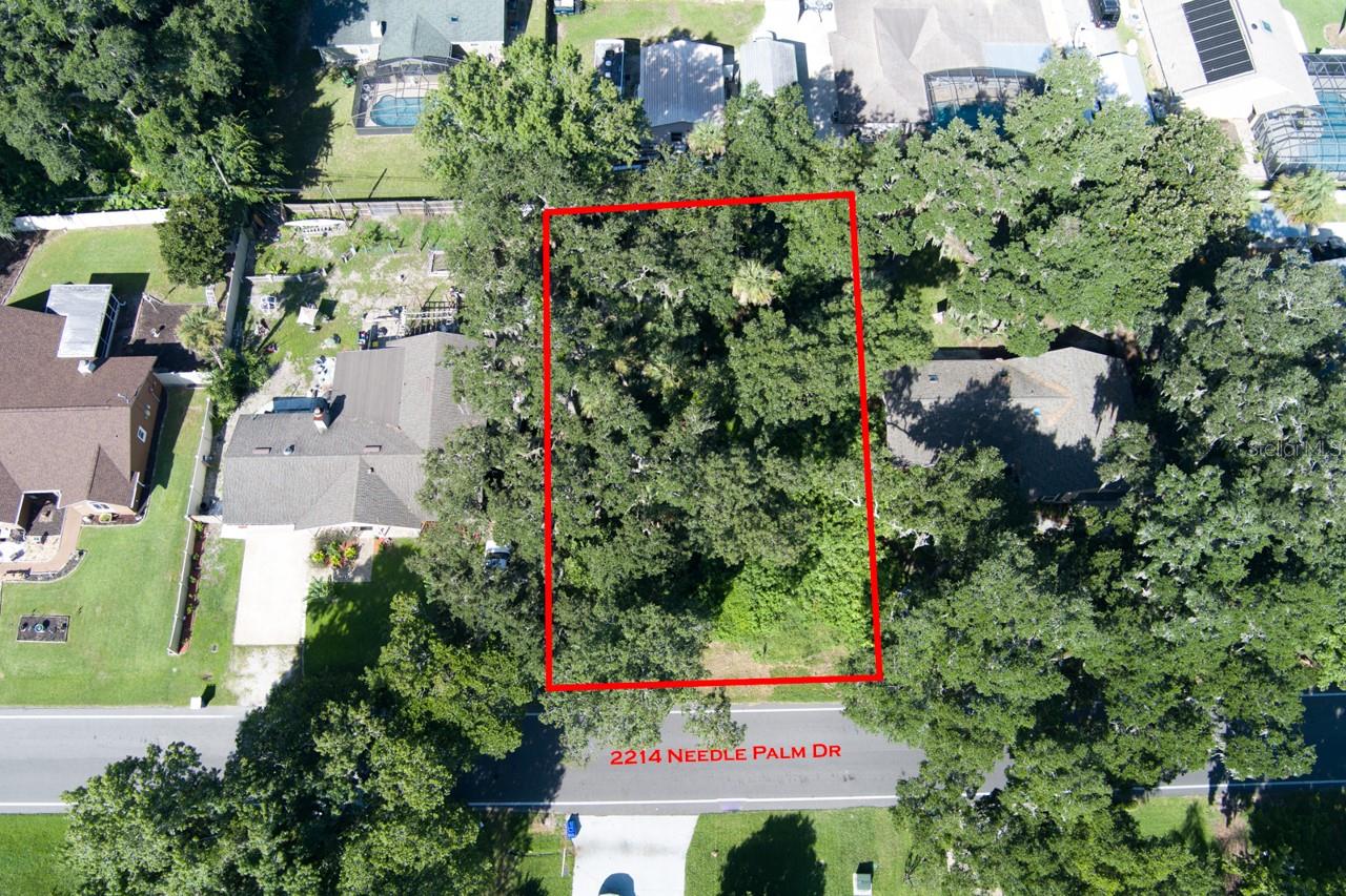 2214 NEEDLE PALM DR, EDGEWATER, FL