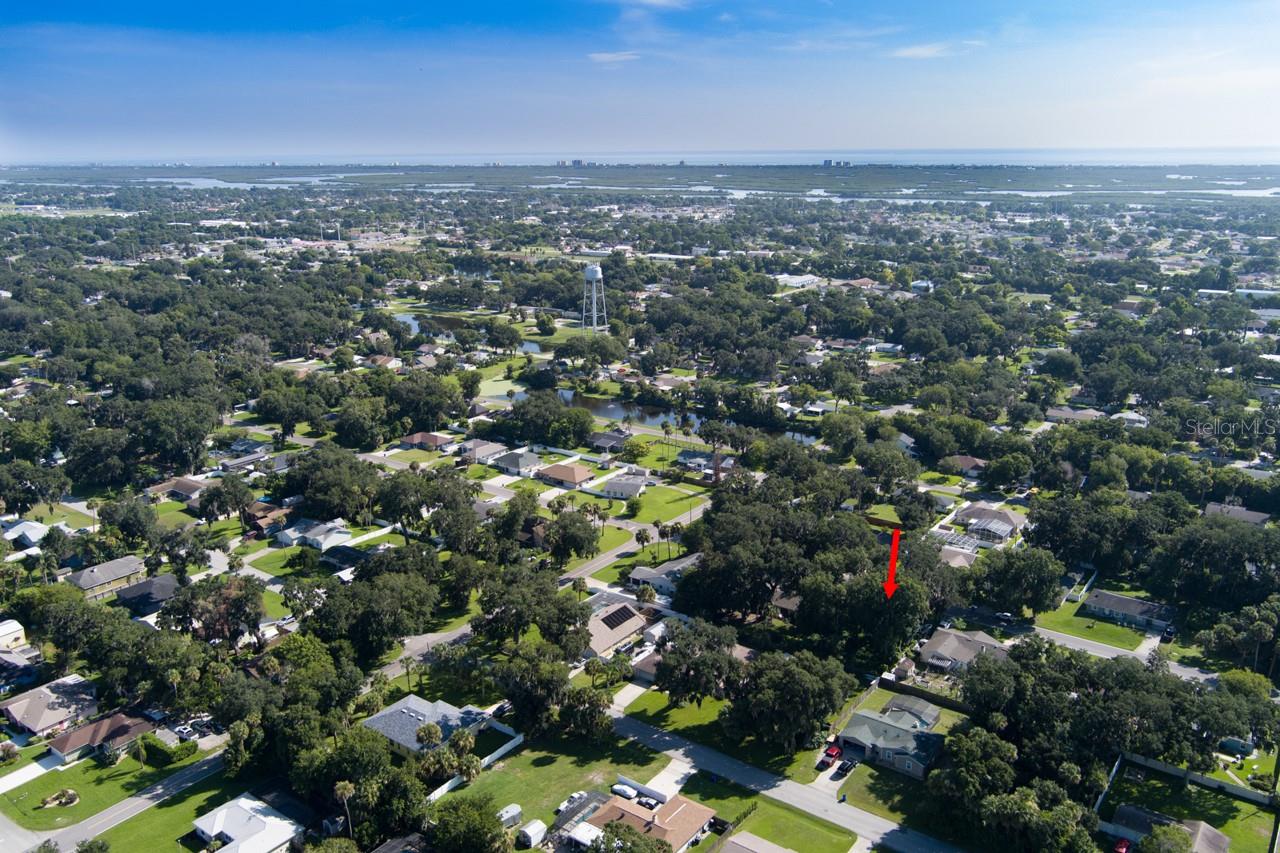 2214 NEEDLE PALM DR, EDGEWATER, FL — photo 2