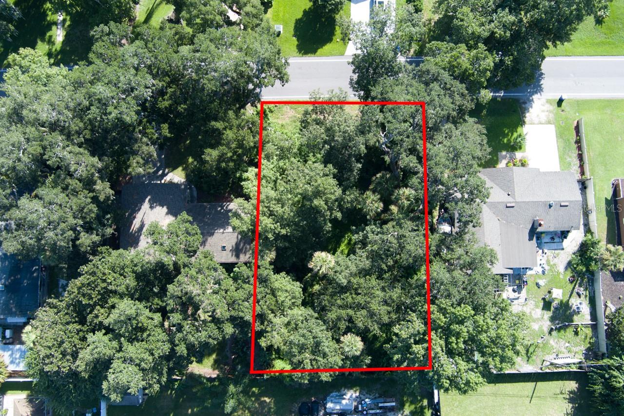 2214 NEEDLE PALM DR, EDGEWATER, FL — photo 3