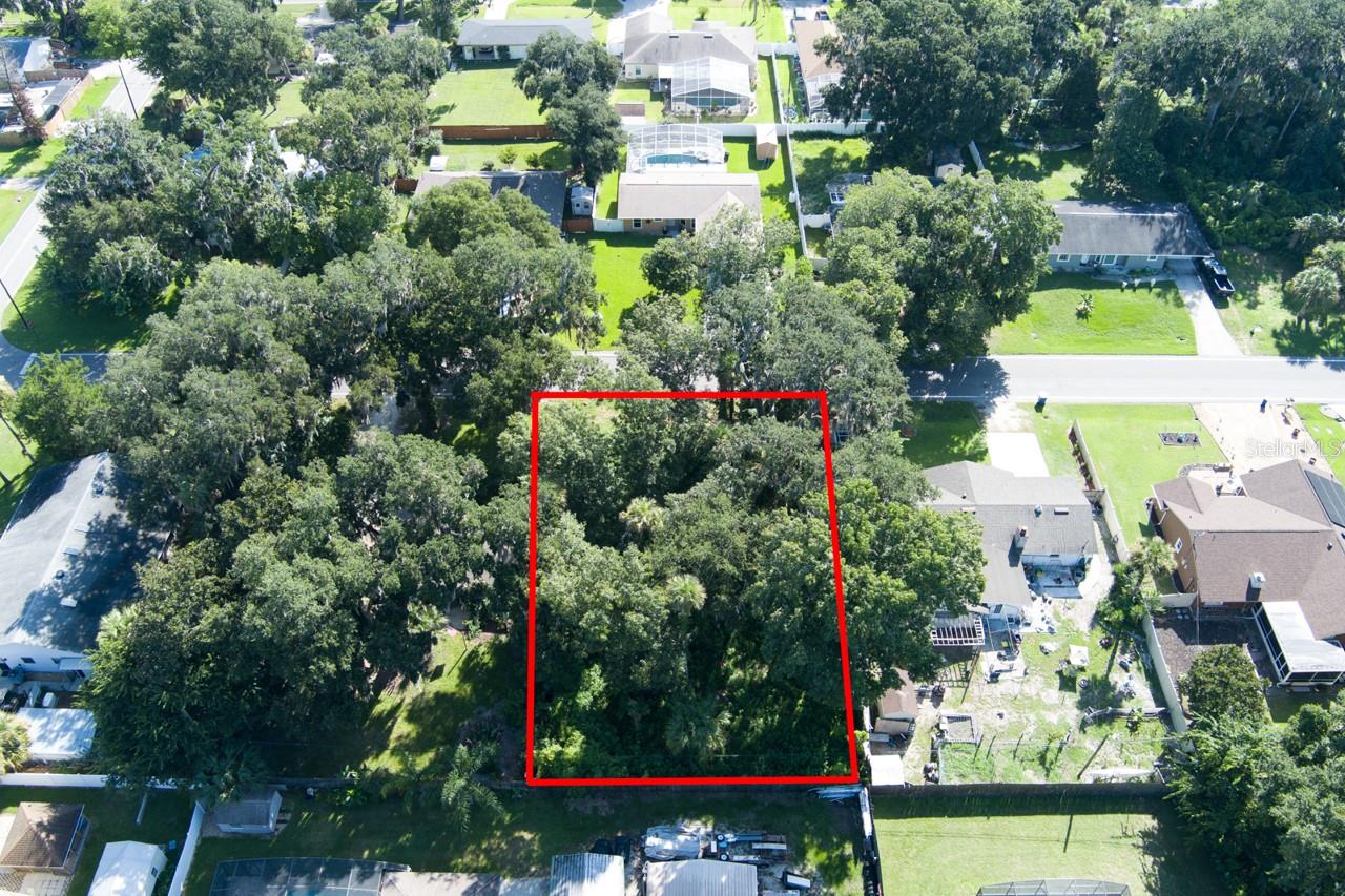 2214 NEEDLE PALM DR, EDGEWATER, FL — photo 4