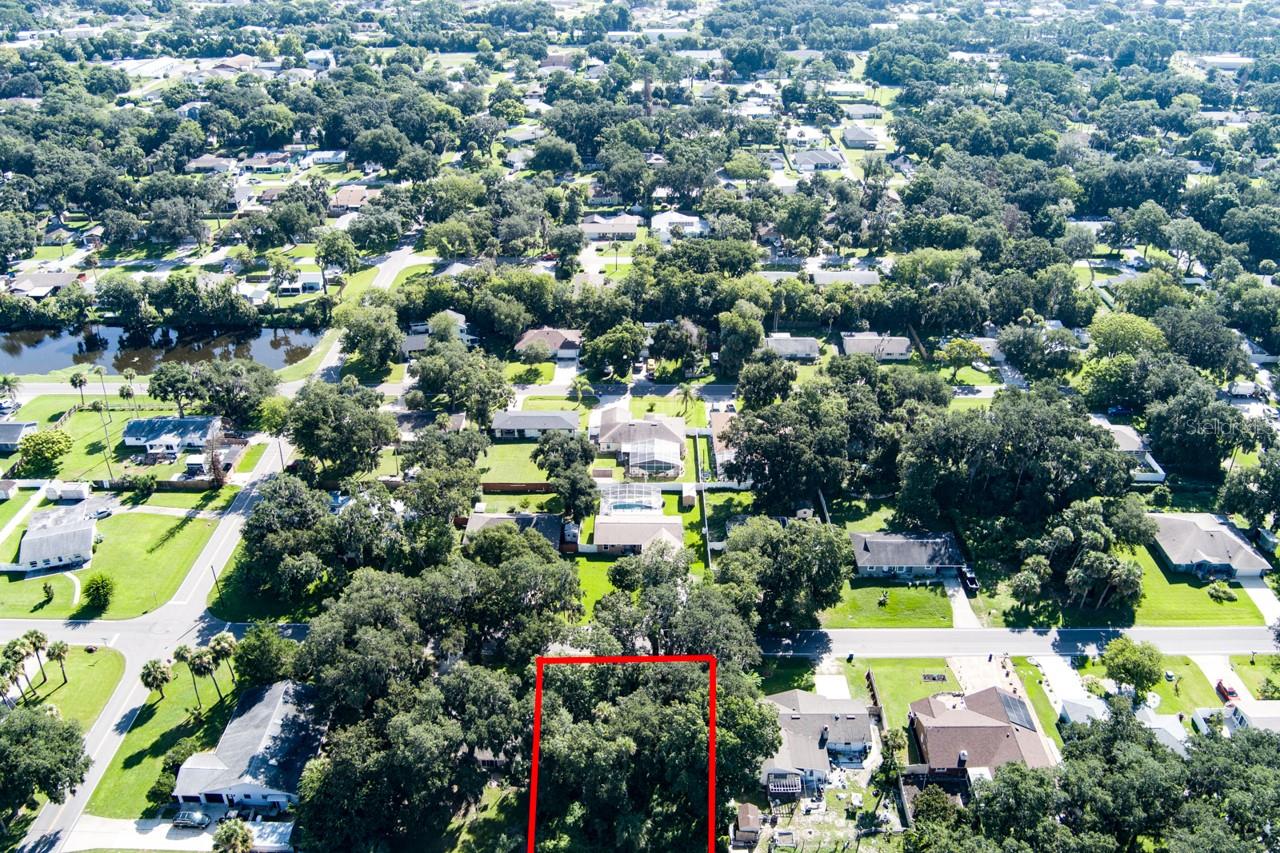 2214 NEEDLE PALM DR, EDGEWATER, FL — photo 5