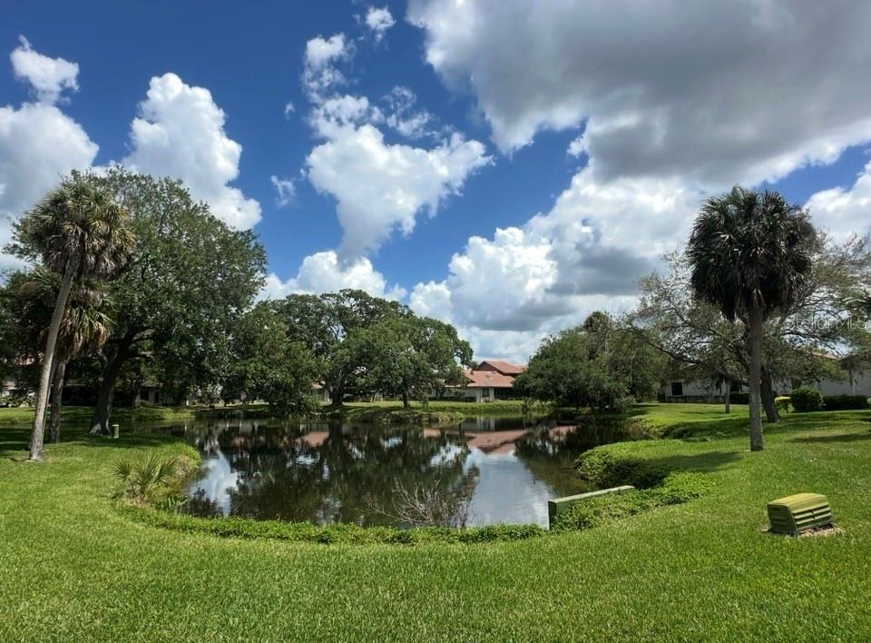 3862 WILSHIRE CIR W #107, SARASOTA, FL — photo 29