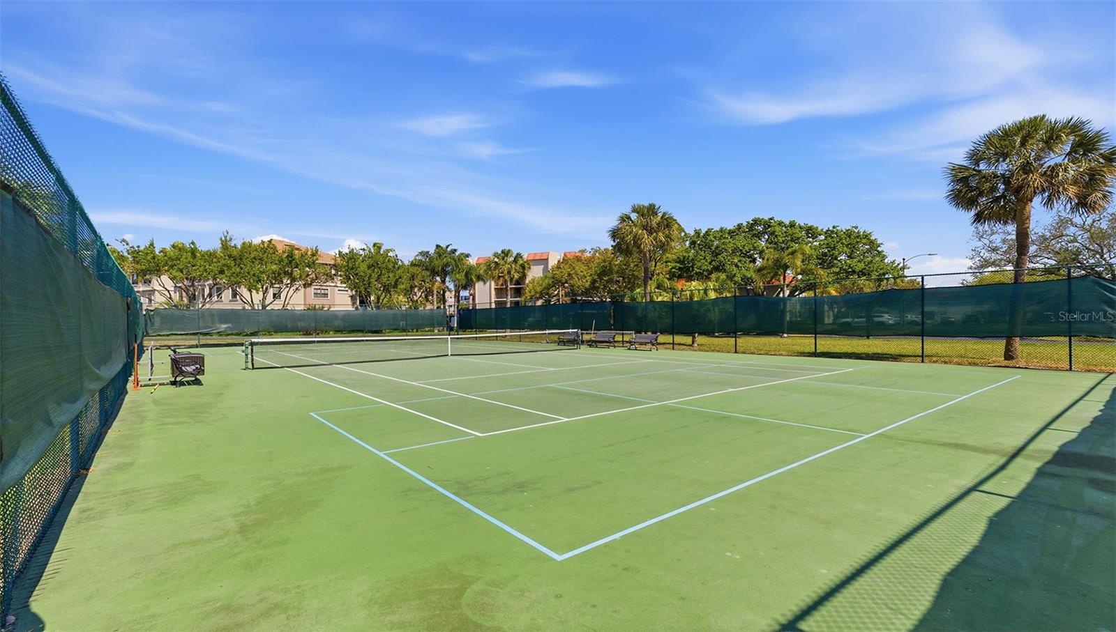 2700 BAYSHORE BLVD #1307, DUNEDIN, FL — photo 29