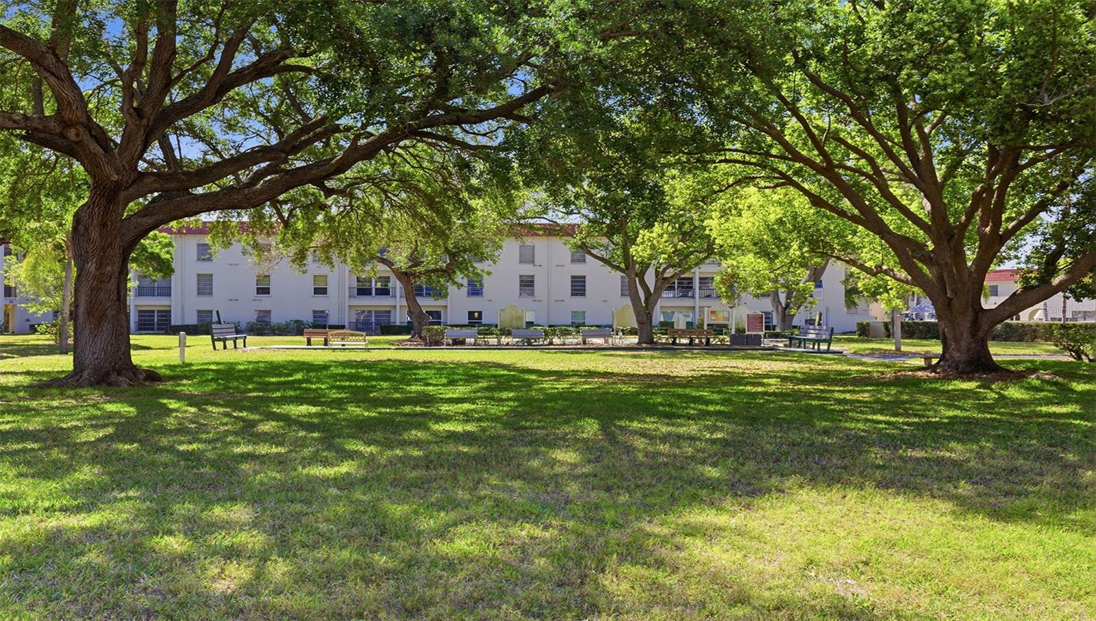 2700 BAYSHORE BLVD #1307, DUNEDIN, FL — photo 30