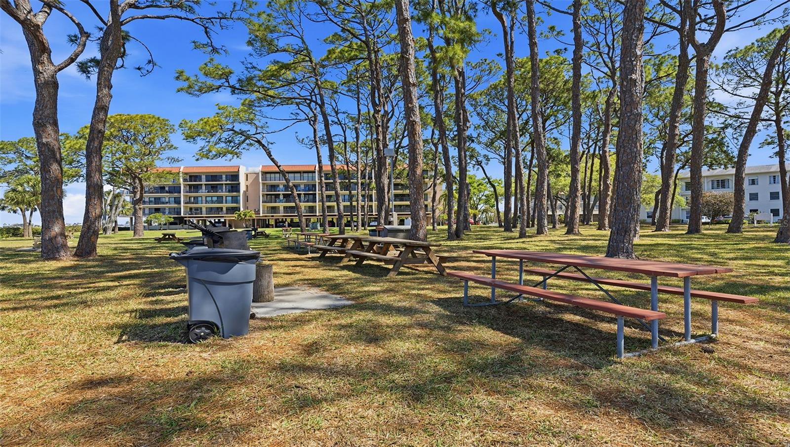 2700 BAYSHORE BLVD #1307, DUNEDIN, FL — photo 33