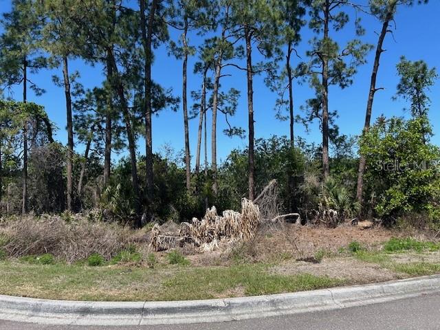 12405 CRUXBURY DR, WINDERMERE, FL — photo 22