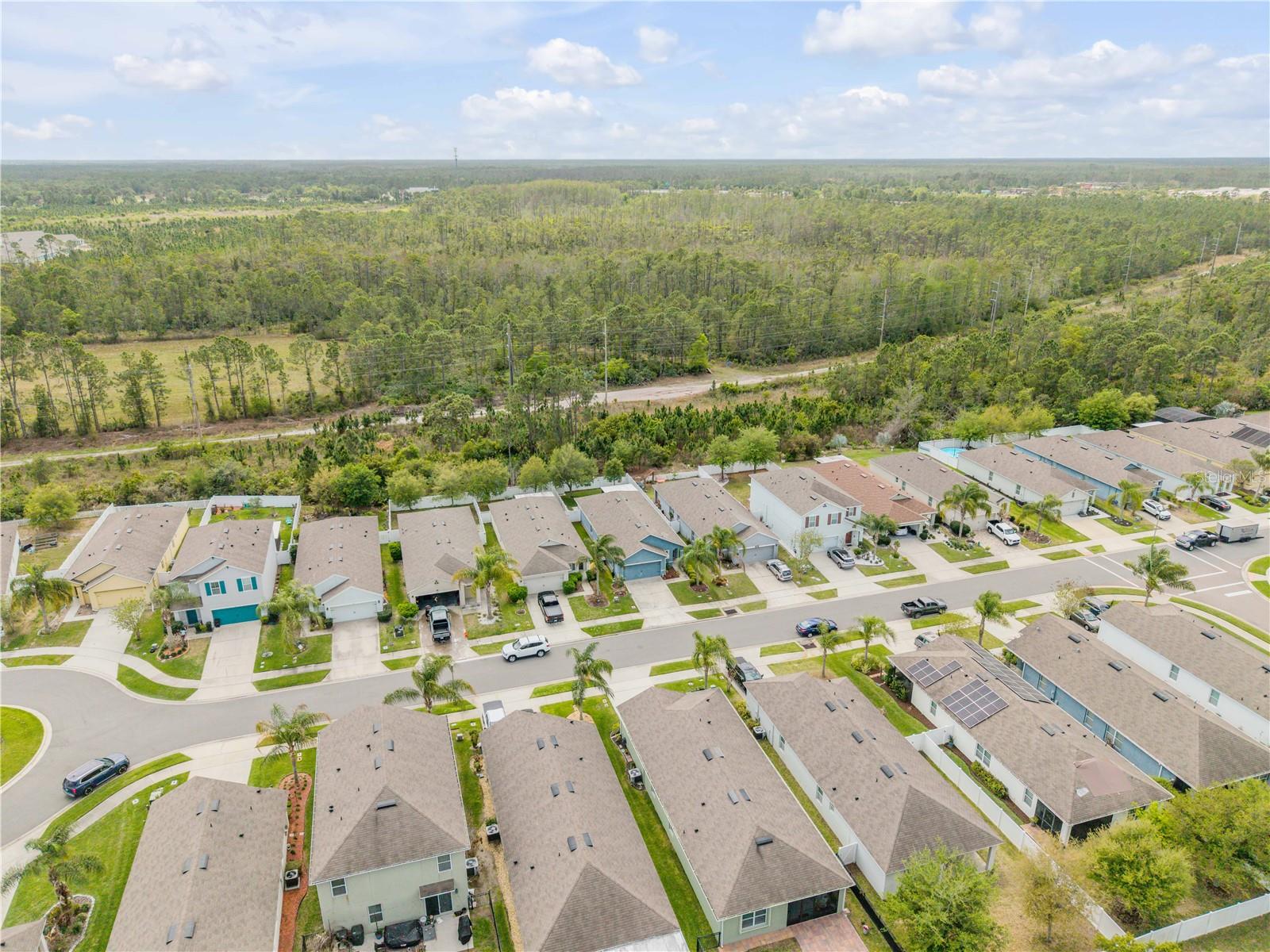 2820 TATON TRCE, NEW SMYRNA BEACH, FL — photo 4