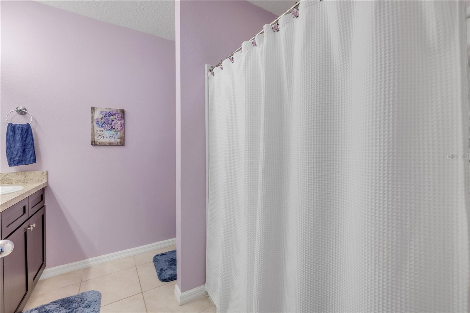 2820 TATON TRCE, NEW SMYRNA BEACH, FL — photo 27