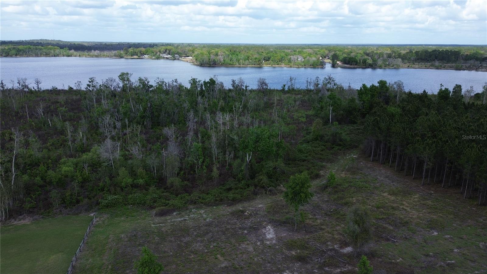 16865 SE 27TH PLACE RD, OCKLAWAHA, FL — photo 6