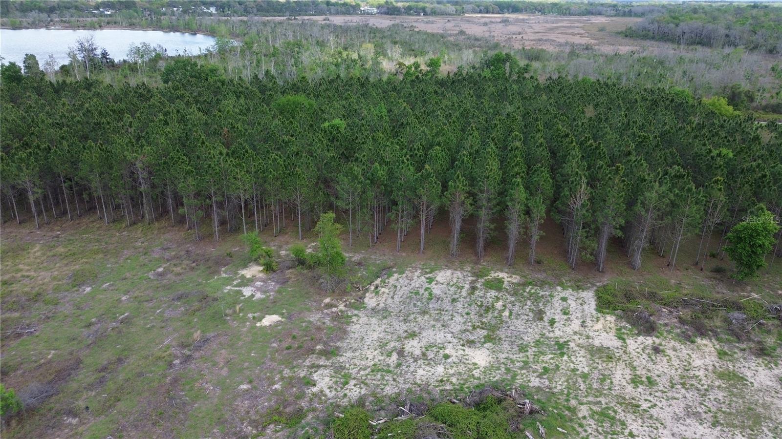 16865 SE 27TH PLACE RD, OCKLAWAHA, FL — photo 7