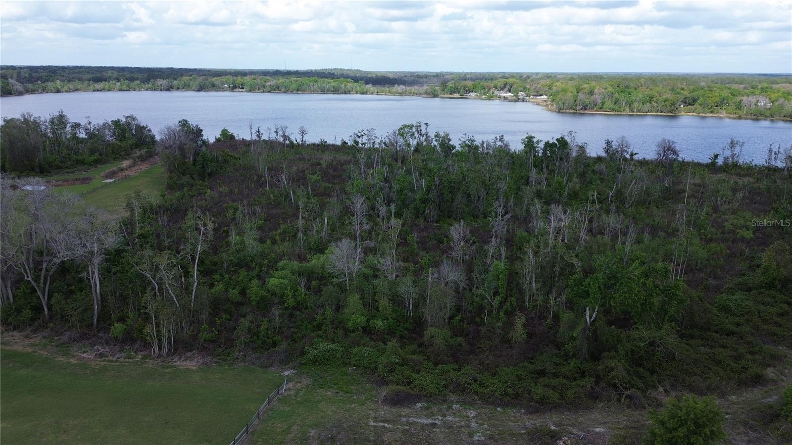 16865 SE 27TH PLACE RD, OCKLAWAHA, FL — photo 8