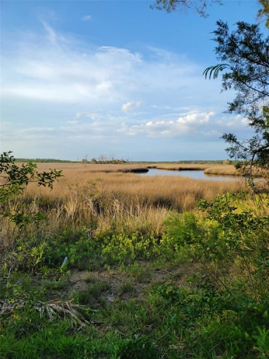 4021 EAGLE NEST DR, HERNANDO BEACH, FL — photo 59
