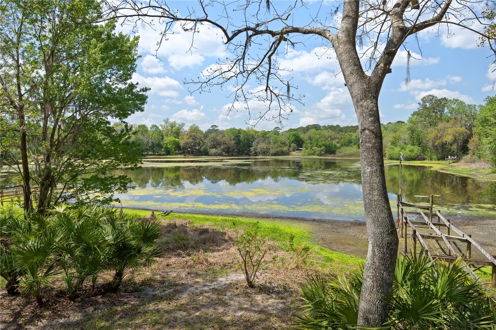 2550 SE 31ST ST, GAINESVILLE, FL — photo 3