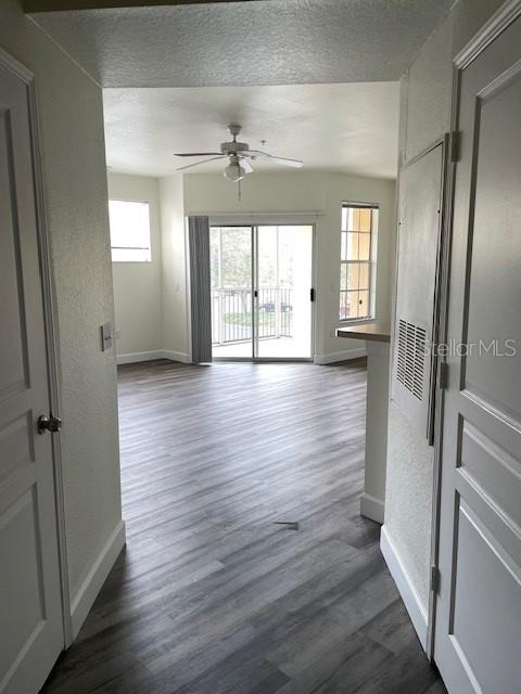 5125 PALM SPRINGS BLVD #11203, TAMPA, FL — photo 2